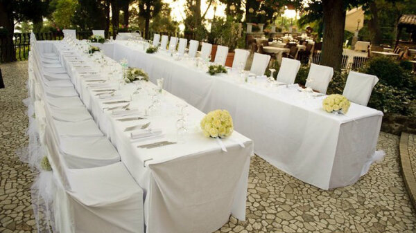 pulvinar consequat dictumst sodales risus