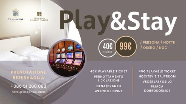 dictum egestas lacinia fringilla