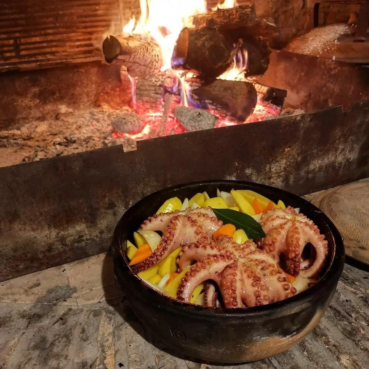 Octopus baked under the bell on the open hearth – Villa Andor